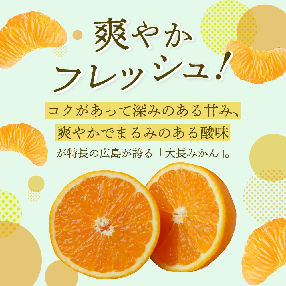 広島県産 呉 大長みかん 10kg みかん ミカン 柑橘 果物 フルーツ 先行 受付 予約 お取り寄せ 広島県 呉市 大長 果実 果汁 ジューシー  甘い 甘味 酸味 コク 爽やか たっぷり フレッシュ 深みのある甘味 まるみのある酸味 先行予約 - 広島県呉市｜ふるさとチョイス -