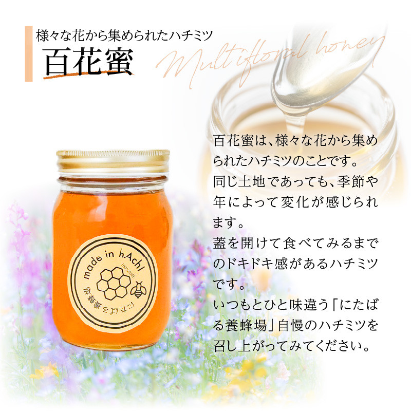 百花蜜500g 2本セット_ハチミツ セット 国産 百花蜜 500g 2本 送料無料_Ca027 - 福岡県久留米市｜ふるさとチョイス -  ふるさと納税サイト