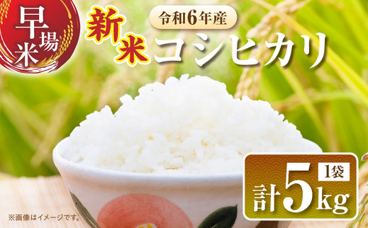 令和6年新米 コシヒカリ1等米20kg 静岡県産 精米