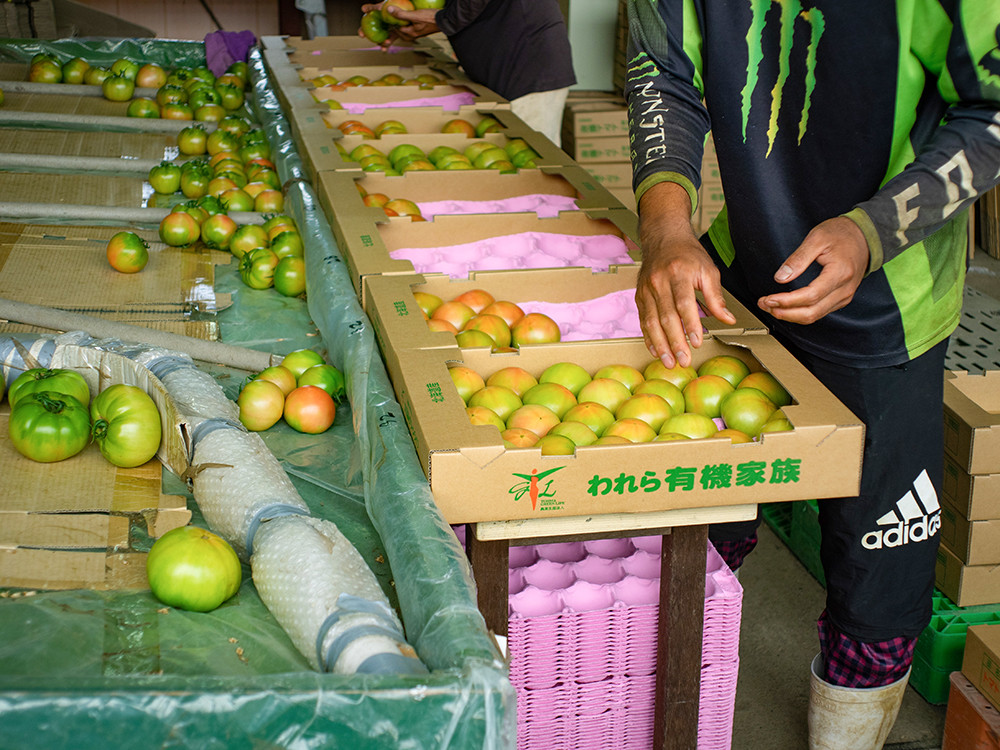 安全安心な有機野菜