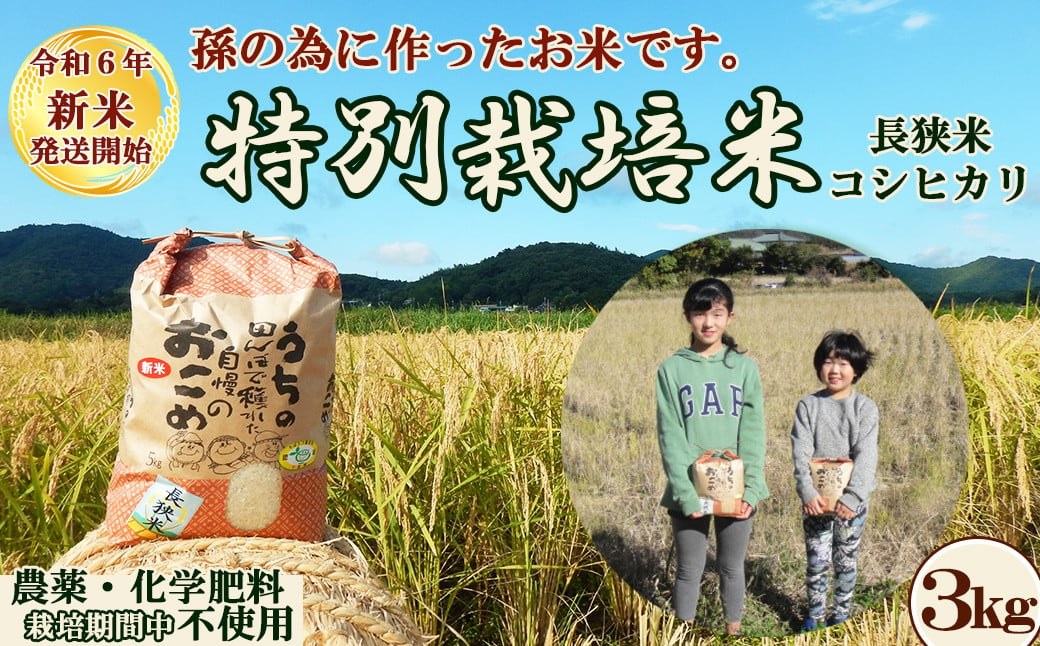 令和６年新米】孫のために作りました！田代農園の『特別栽培米』《精米》 ３kg [0010-0159] - 千葉県鴨川市｜ふるさとチョイス -  ふるさと納税サイト