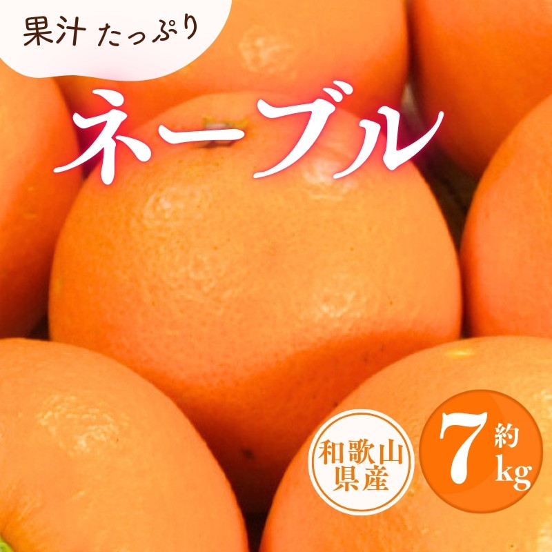 ネーブルオレンジ” 約10kg 大きさおまかせ アメリカ・オーストラリア産【予約 無闇 入荷次第発送】 送料