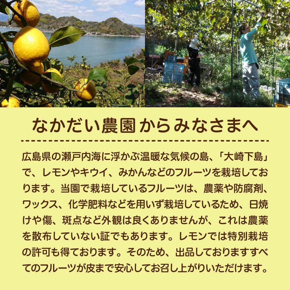 先行受付】栽培期間中農薬不使用「レモン」 約1kg レモン れもん 檸檬 特別栽培 皮まで安心 瀬戸内 産地直送 お取り寄せグルメ 送料無料 特別栽培農産物  先行予約 広島県 呉市 - 広島県呉市｜ふるさとチョイス - ふるさと納税サイト