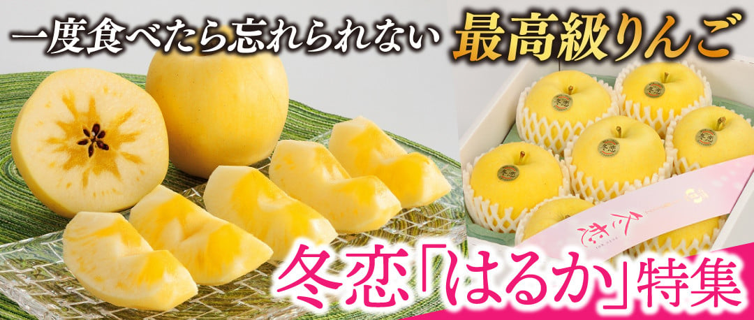 りんご 冬恋はるか 約2.5kg 糖度15度以上【先行予約 12月発送】数量限定 岩手県産 りんご リンゴ 林檎 冬恋 はるか フルーツ くだもの  果物 【冬恋研究会】 (AI007) - 岩手県紫波町｜ふるさとチョイス - ふるさと納税サイト