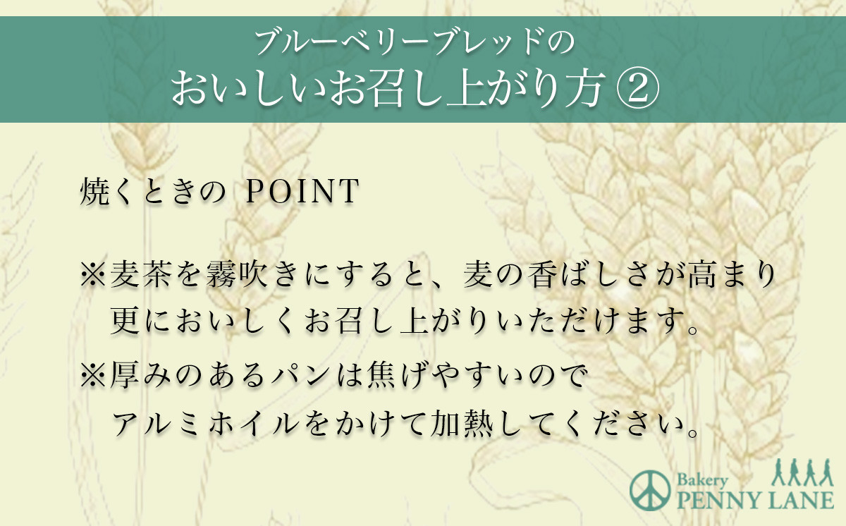 ペニーレインのブルーベリーブレッド3本セット【 パン 菓子パン パン屋 茨城県 つくば市 ブルーベリー ブルーベリージャム ブルーベリーソース 冷凍パン  お取り寄せ 人気 おすすめ おやつ 朝食 ベーカリー グルメ プレゼント レストラン ドッグラン 】 - 茨城県つくば市 ...