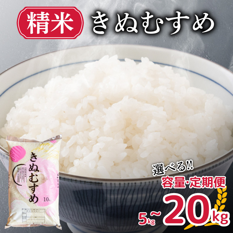 先行予約 】 新米 きぬむすめ 5kg 10kg 20kg 精米 選べる 容量 定期便 米 お届け回数 お米 選べる定期便 1回お届け 月1お届け  白米 直前精米 精米したて やまだ農園 豊田町 下関 山口 【 10月以降発送 】 - 山口県下関市｜ふるさとチョイス - ふるさと納税サイト