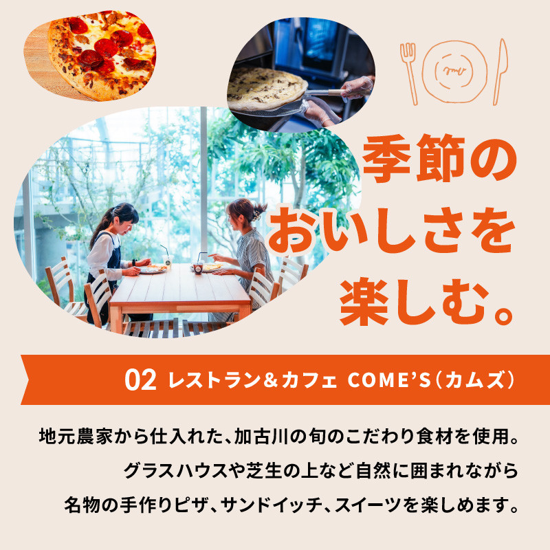 遊んで、食べて、泊まれる！「みとろの丘」ふるさと納税限定利用券(3000円×10枚)《 体験 自然 宿泊券 チケット クーポン  》【2412L14802】 - 兵庫県加古川市｜ふるさとチョイス - ふるさと納税サイト