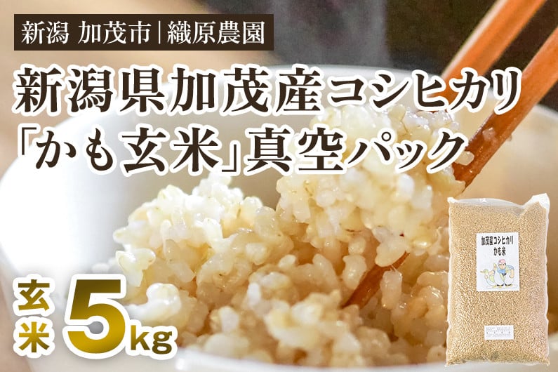 令和6年度新米】新潟産 コシヒカリ（ 従来品種 ） 玄米 「発芽元気」選べる 1kg 速 〜 2kg 発芽玄米 無農薬 無化学肥料 新潟県産 こしひかり  非BL 従来種 従来型 幻のコシヒカリ 白米 うるち米 新潟県 生産者直送 お取り寄せ ギフト プレゼント 贈り物 お歳暮