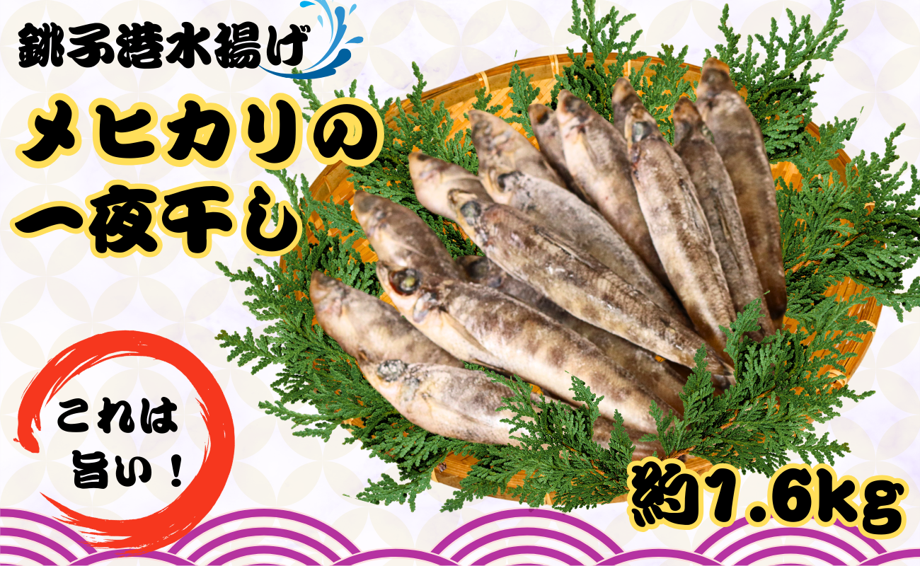 メヒカリ一夜干し 60尾 約1.6kg 銚子港水揚げ 冷凍 めひかり 目光 バラ凍結 無添加 干物 白身魚 焼魚 名物 一夜干し 天ぷら 唐揚げ 海鮮  ひもの 魚 魚介類 深海魚 新鮮 グルメ お取り寄せ 贈り物 人気 おかず おつまみ 酒の肴 朝食 夕食 ふるさと納税