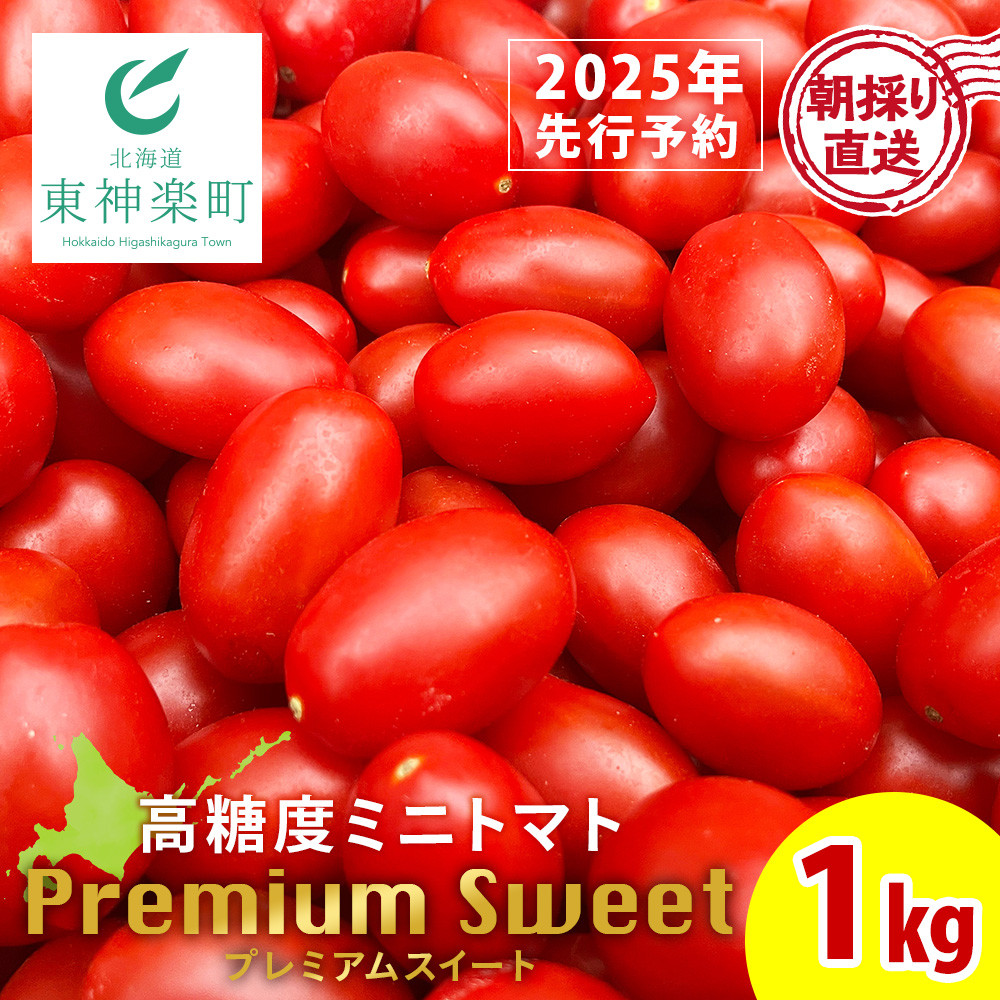 朝採れ最短発送！】 Premium Sweet 1kg フルーツミニトマト - 北海道東神楽町｜ふるさとチョイス - ふるさと納税サイト