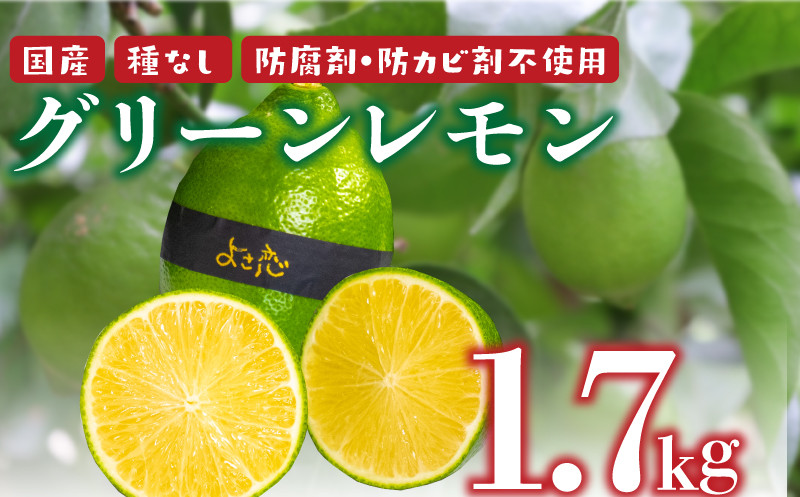 種なし 防腐剤・防カビ剤不使用！こだわりのグリーンレモンです‼