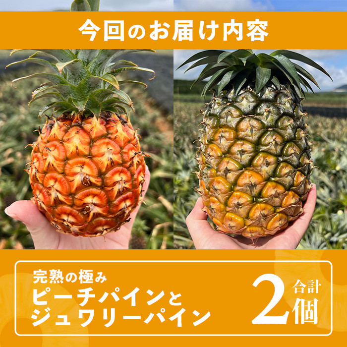 2025年5月~7月順次発送》【先行予約】最高糖度20度以上 2025年5月~7月順次発送》【先行予約】最高糖度20度以上