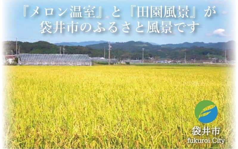 クラウンメロンといえば袋井市！