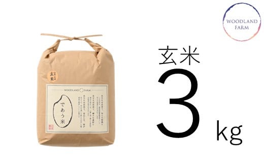 A262] 【定期便】自然栽培こしひかり「であう米」（玄米）3kg×12回コース - 石川県羽咋市｜ふるさとチョイス - ふるさと納税サイト