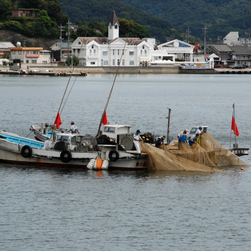 草壁港沖の鰯網漁