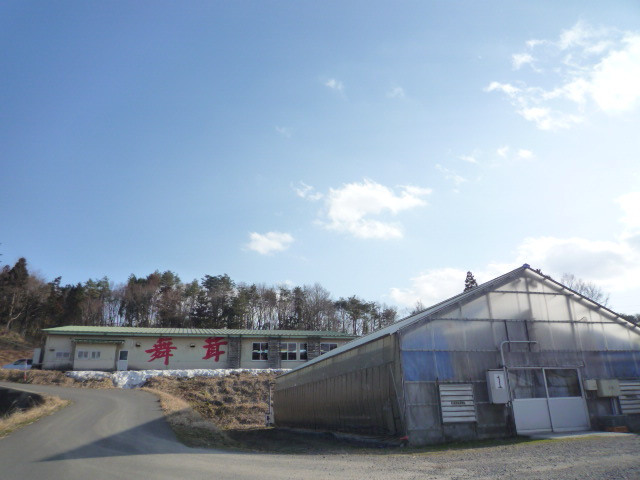 舞茸センターで、栽培から出荷まで行います