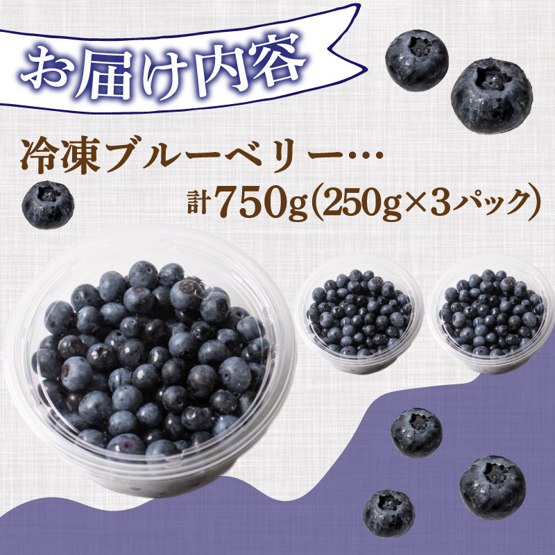 先行予約受付】【数量限定】 冷凍 ブルーベリー 計 750g 手摘み 【2025年7月より順次発送】 ( 小分け フルーツ 果物 スイーツ デザート  国産 ベリー シャーベット アイス ジェラート ジャム パン パンケーキ ヨーグルト おやつ スムージー 朝食 無農薬 長期保存 ) 下関 ...