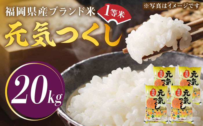 令和5年産】福岡県産ブランド米「元気つくし」白米 20kg (5kg×4袋)《築上町》【株式会社ゼロプラス】 [ABDD005] お米 白ご飯  元気つくし ブランド米 おにぎり 41000円 4万1千円 - 福岡県築上町｜ふるさとチョイス - ふるさと納税サイト