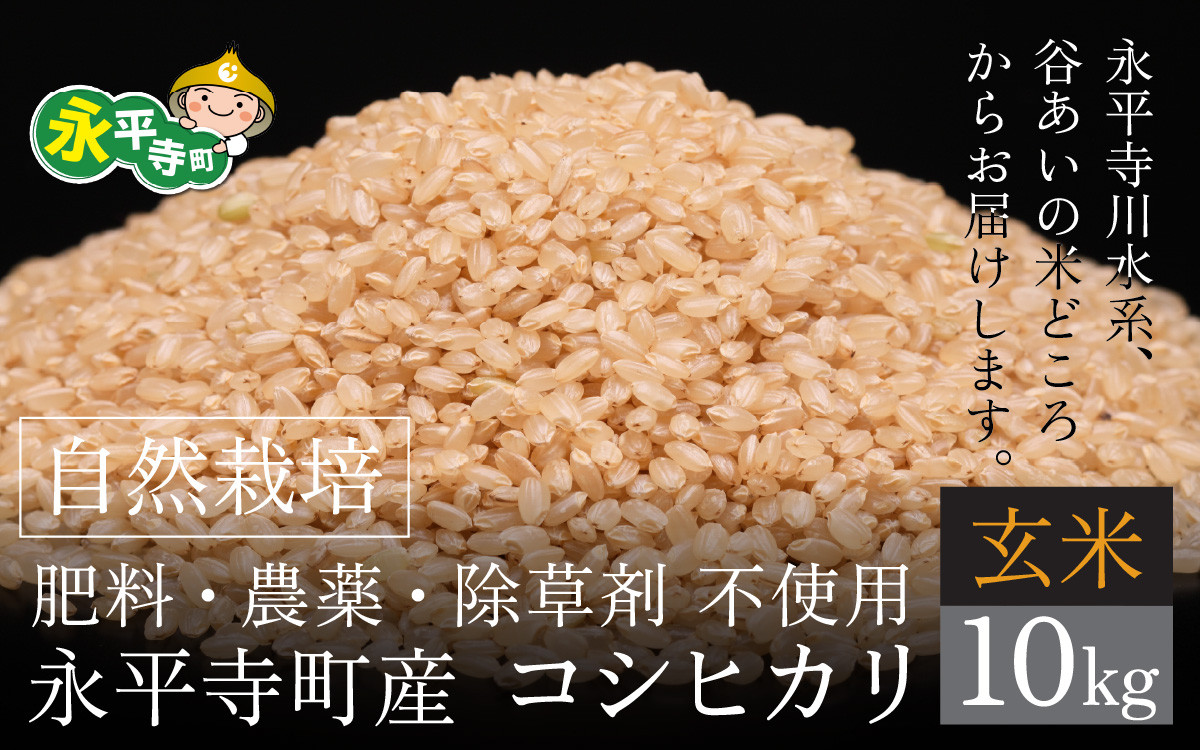 令和6年産 新米】自然栽培米 永平寺町産 コシヒカリ 【玄米】10kg 無農薬 化学肥料 除草剤 不使用 [C-061001] -  福井県永平寺町｜ふるさとチョイス - ふるさと納税サイト