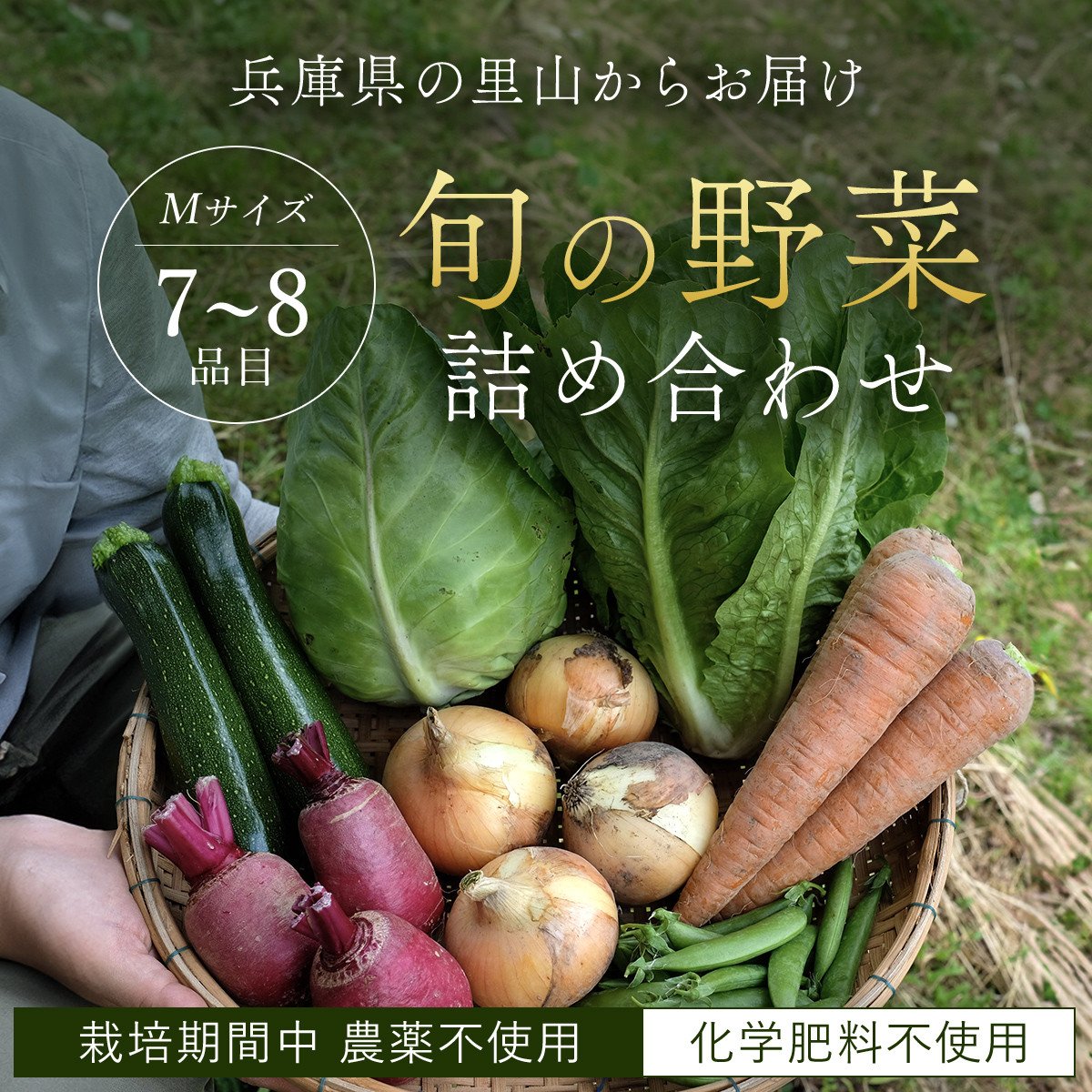 栽培期間中農薬不使用＞兵庫県の里山からお届け 旬の野菜詰め合わせ Ｍサイズ＜7~8品目＞ - 兵庫県朝来市｜ふるさとチョイス - ふるさと納税サイト