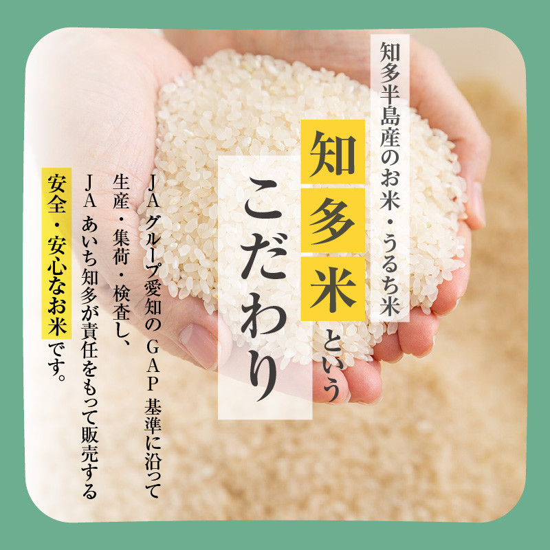 知多米 こしひかり5kg ／ お米 白米 うるち米 コシヒカリ 愛知県 特産品 - 愛知県知多市｜ふるさとチョイス - ふるさと納税サイト