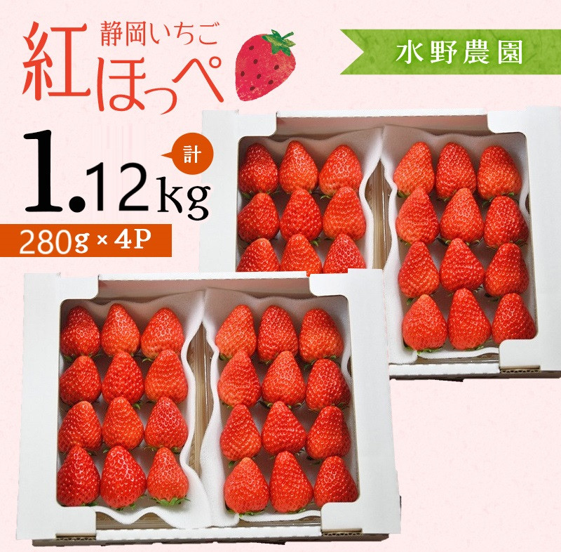 掛川市・水野農園が育てた「紅ほっぺ」イチゴです♪