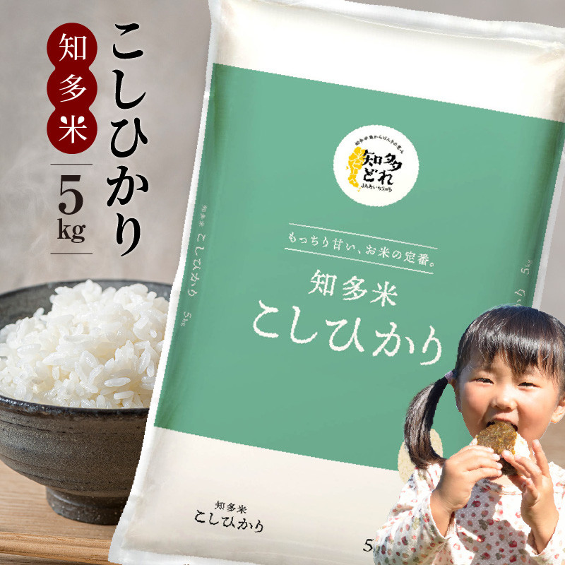 知多米 こしひかり5kg ／ お米 白米 うるち米 コシヒカリ 愛知県 特産品 - 愛知県知多市｜ふるさとチョイス - ふるさと納税サイト