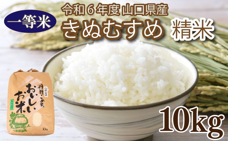 米 10kg きぬむすめ 新米 精米 白米 お米 大容量 下関 山口 - 山口県下関市｜ふるさとチョイス - ふるさと納税サイト