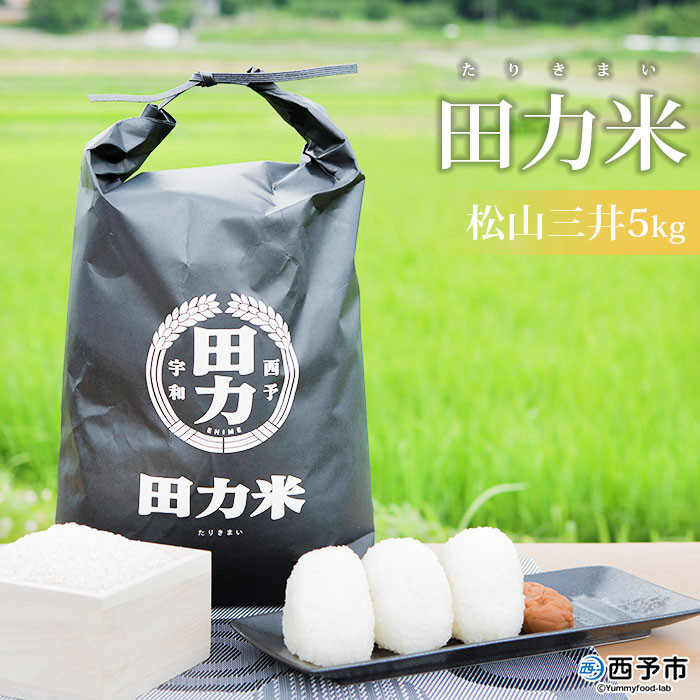 令和６年産 田力米（松山三井）５kg - 愛媛県西予市｜ふるさとチョイス - ふるさと納税サイト