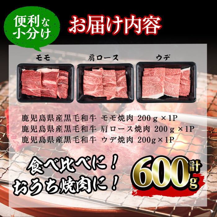 焼肉3種！食べ比べセット】鹿児島県産黒毛和牛 モモ・肩ロース・ウデの焼肉3種セット＜計600g＞ 牛肉 肉 焼肉 セット 焼肉セット 焼き肉 小分け  食べ比べ 赤身 霜降り やきにく BBQ a6-048 - 鹿児島県志布志市｜ふるさとチョイス - ふるさと納税サイト