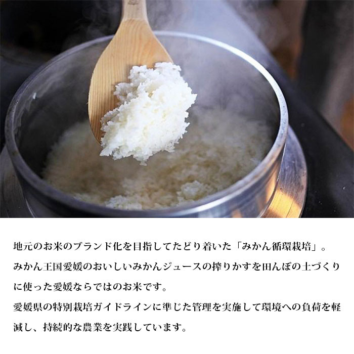 令和６年産 田力米（にこまる）10kg - 愛媛県西予市｜ふるさとチョイス - ふるさと納税サイト