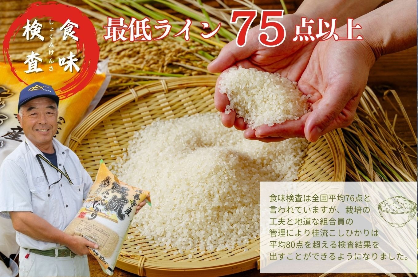 数量限定 100 セット） 新米 静岡 伊豆 修善寺産 桂流 こしひかり ４㎏ （ 2kg × 2袋 ）【 コシヒカリ 白米 お米 精米 国産 米  ごはん 特別栽培米 お取り寄せ 静岡県 伊豆市】 009-005 - 静岡県伊豆市｜ふるさとチョイス - ふるさと納税サイト