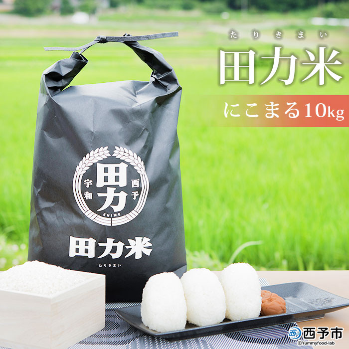 令和６年産 田力米（にこまる）10kg - 愛媛県西予市｜ふるさとチョイス - ふるさと納税サイト