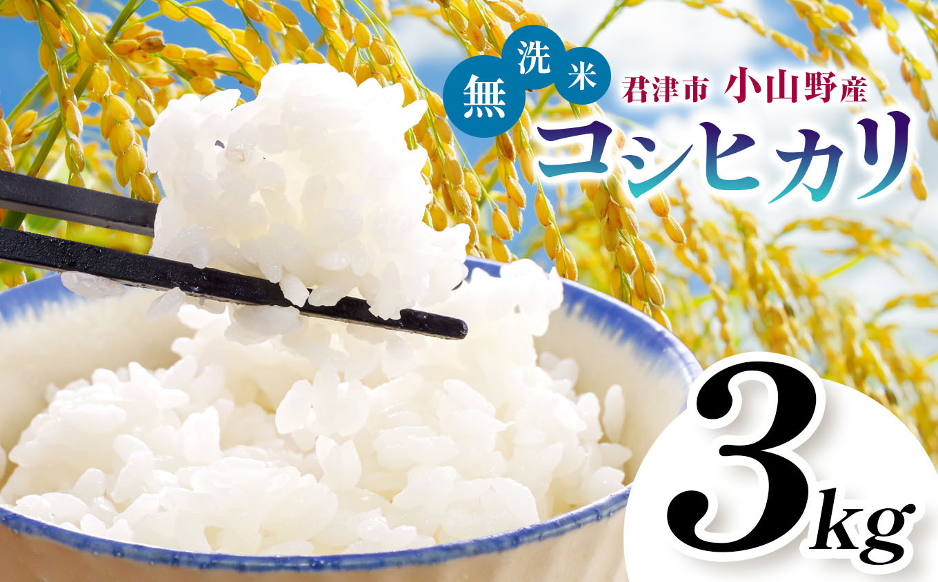 新米 1週間以内に発送】令和6年産 君津市小山野産 コシヒカリ 無洗米 3kg | 新米 しんまい こしひかり 千葉県産 むせんまい 米 コメ こめ  お米 すぐ発送 すぐ 千葉県 君津市 きみつ あかかげ農園 千葉稲 - 千葉県君津市｜ふるさとチョイス - ふるさと納税サイト