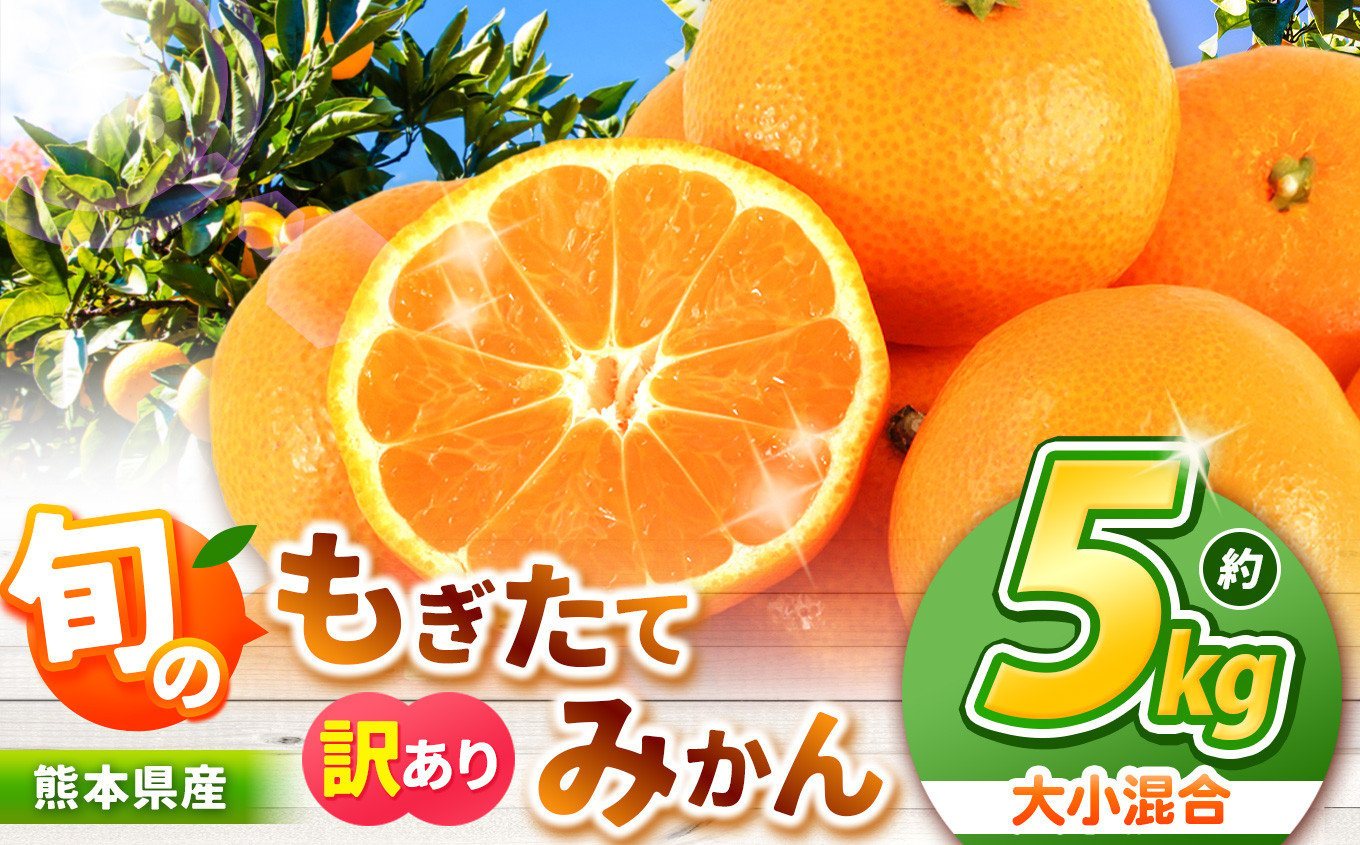 旬のもぎたてみかん 約 5kg 大小混合 訳あり 果物 熊本県なごみ町産 | 熊本県 熊本 くまもと 和水町 なごみまち なごみ みかん ミカン 蜜柑  柑橘 柑橘類 温州 果物 フルーツ 不揃い キズ スレ - 熊本県和水町｜ふるさとチョイス - ふるさと納税サイト