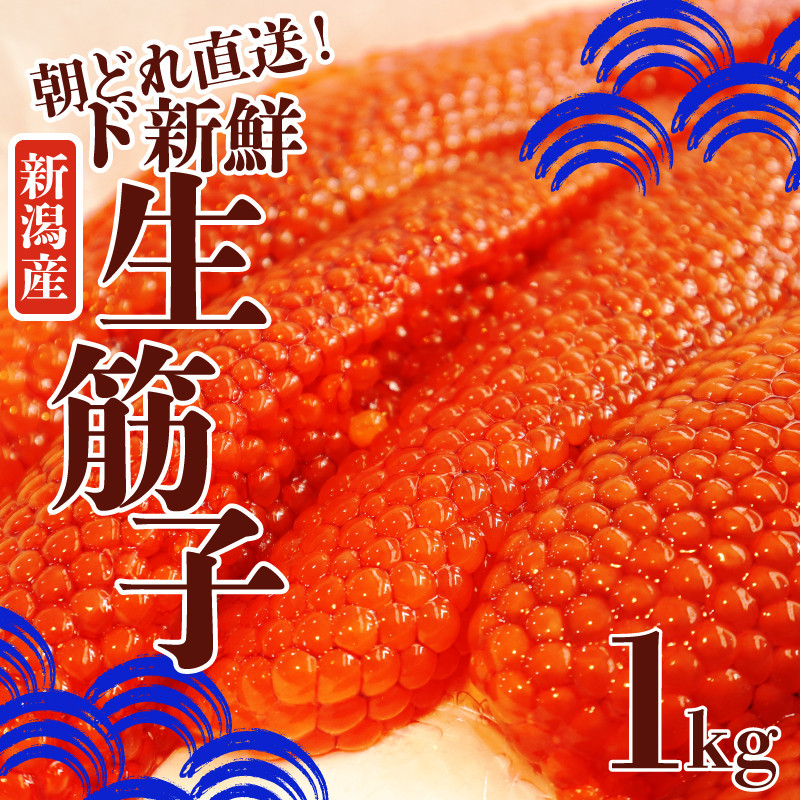 令和6年産 生筋子 1kg【 いくら 鮭 生いくら 海鮮 鮮魚 朝どれ 朝採れ とれたて 国産 新潟県産 お正月 おせち 年末 年始 贈答 予約  いくら はらこ 筋子 魚水島】 - 新潟県新発田市｜ふるさとチョイス - ふるさと納税サイト