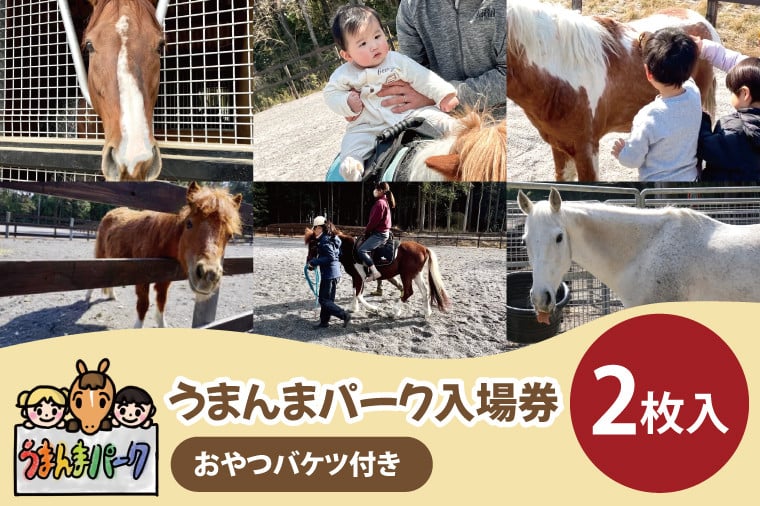 55-01 うまんまパーク入場券（おやつバケツ付き）2枚セット【馬 パーク 牧場 乗馬 入場券 茨城県 阿見町】 - 茨城県阿見町｜ふるさとチョイス  - ふるさと納税サイト