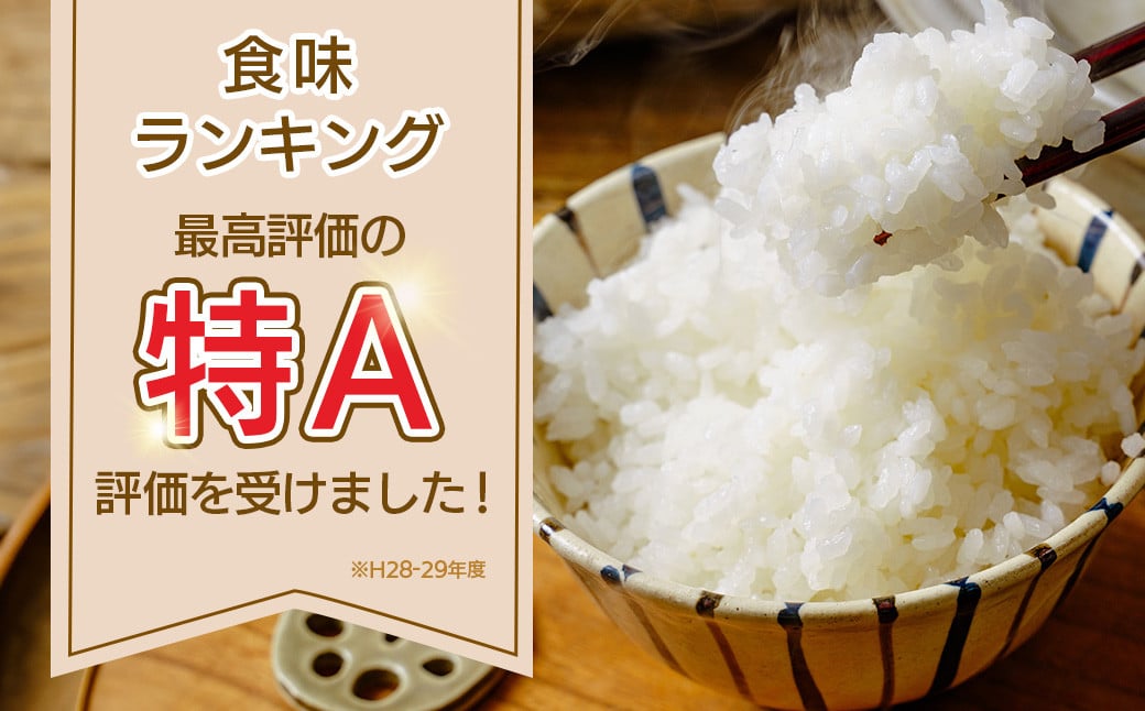 新米 令和6年産】秦野のお米（はるみ）5kg | 神奈川県産 秦野市 大地 5kg 5キロ 米 こめ コメ お米 白米 精米 お取り寄せ 贈答 人気  ランキング ごはん ご飯 贈り物 5キロ 風味 甘い 甘み ブランド米 人気米 新米 1袋 ちょうどいい おいしい 美味しい