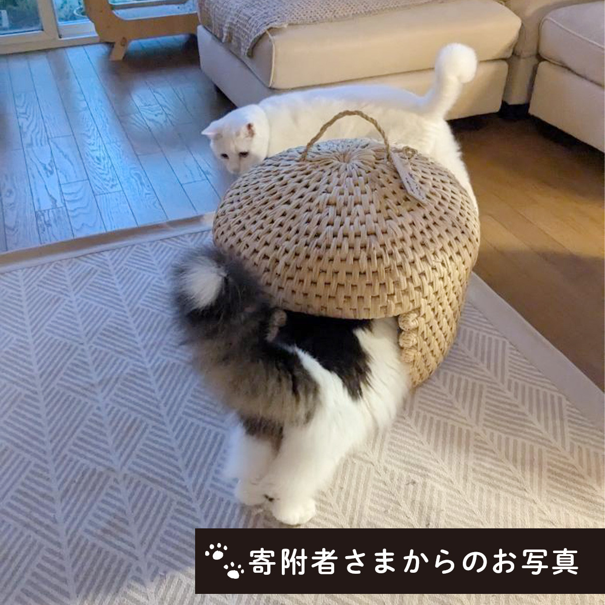 猫好きが作る猫好きのための猫つぐら | ペット グッズ 猫グッズ ベッド 猫ベッド ハウス ねこ ネコ キャット キャットハウス 猫用品 用品 にゃん  ニャン つぐら 猫つぐら ちぐら 猫ちぐらベッド かご 籠 藁 稲 わら 稲わら 天然 素材 自然 香り ナチュラル 涼しい