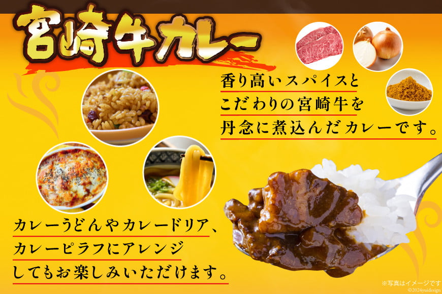 カレー レトルト 宮崎牛カレー 160g×12食 [九州産商 宮崎県 日向市 452061047] 詰め合わせ 小分け ビーフカレー 宮崎 牛 常備食  保存食 中辛 宮崎牛 防災 備蓄 - 宮崎県日向市｜ふるさとチョイス - ふるさと納税サイト