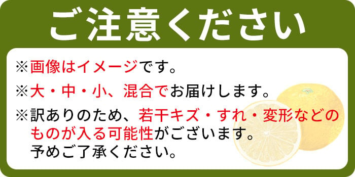 でん助農園の温州みかん（早生） 訳あり 10kg - 愛媛県西予市｜ふるさとチョイス - ふるさと納税サイト