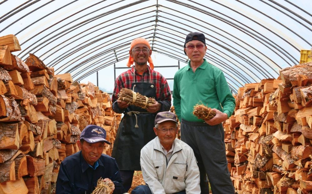 即使用可能 完全乾燥薪 1立米(軽トラック1台分) 広葉樹 (サクラ、くぬぎ、ナラ等) または 針葉樹 (マツ、カラマツ等) もしつけ付き(1個)  【配送可能地域：諏訪市 茅野市 富士見町 原村 岡谷市 下諏訪 北杜市】 - 長野県富士見町｜ふるさとチョイス - ふるさと納税サイト