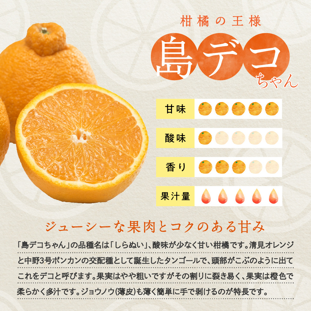 【ぺこ】みかん1000ｍｌ＊6本+デコ・清見各6本 【２箱縛りでの発送】 ぺこ様専用】みかん1000ml＊6本+デコ・清見各6本 【2箱