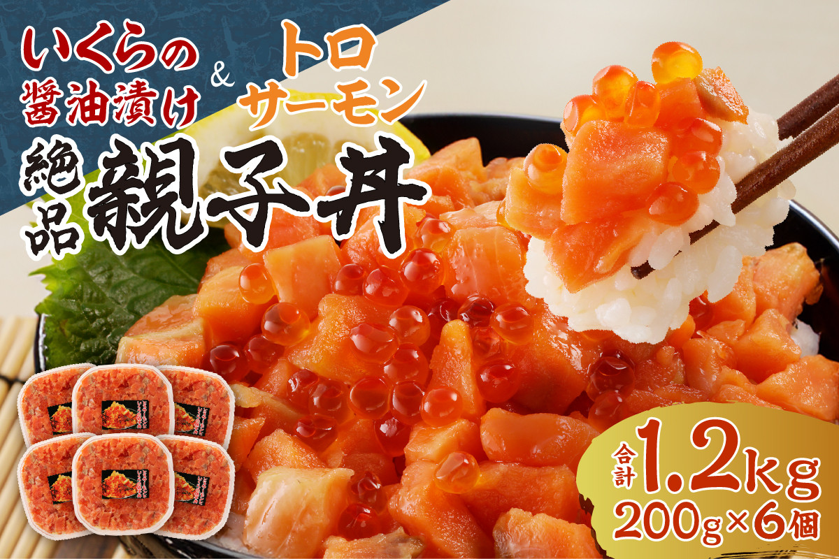 北海道産いくら醤油漬け（鮭卵）とトロサーモンの絶品！親子丼セット1.2kg（200ｇ×６個） - 北海道札幌市｜ふるさとチョイス - ふるさと納税サイト