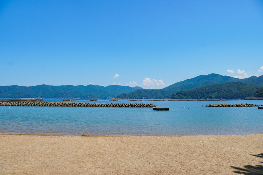 写真