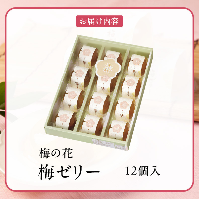 梅の花 梅ゼリー 12個入_梅の花 梅ゼリー 12個入 梅 ゼリー 本場