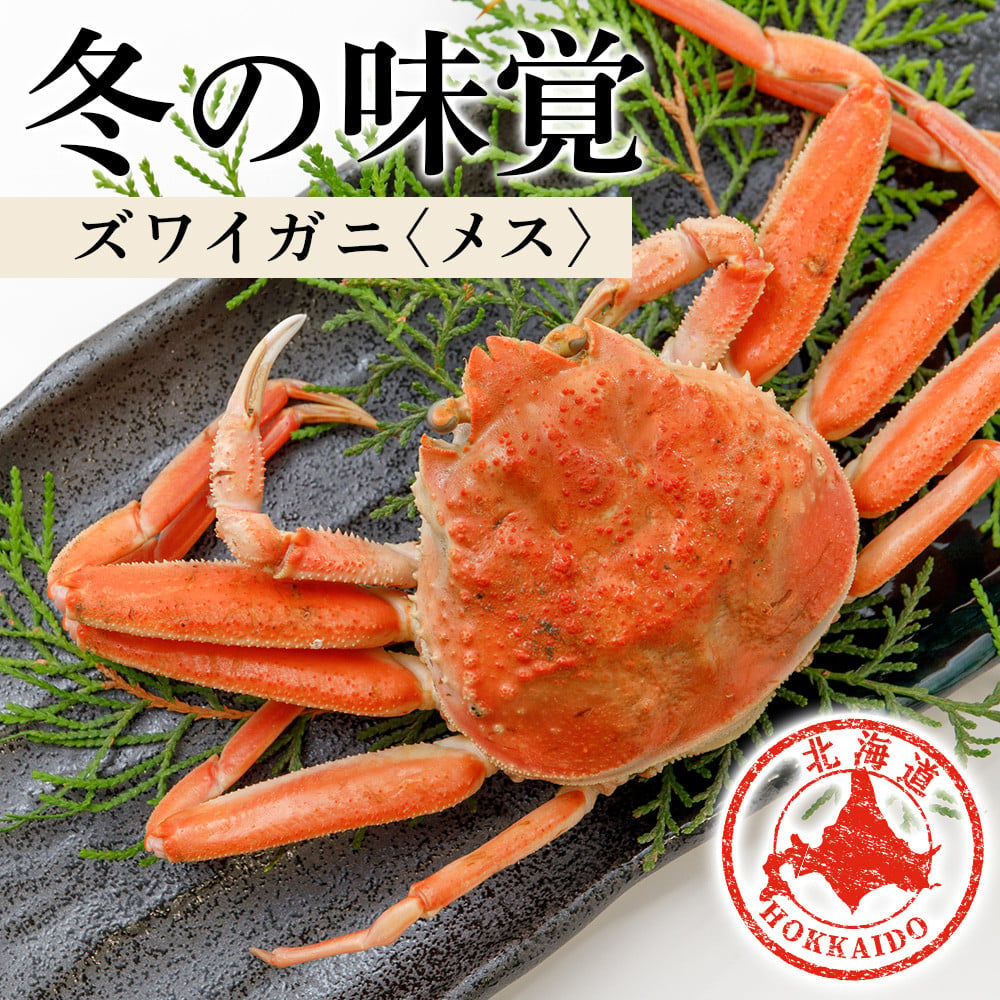 北海道産 生大ズワイガニ メス 1kg （加熱用） ずわいがに 蟹 オオズワイガニ オオズワイ 〈斉藤水産〉 - 北海道白老町｜ふるさとチョイス -  ふるさと納税サイト