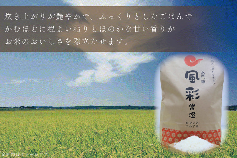 3ヶ月定期便】【令和6年産】特別栽培米コシヒカリ「風彩常澄」計15kg（5kg×3回）【最高 ランク 特A コシヒカリ 水戸市 オリジナル ブランド  農林水産省大臣賞受賞 減農薬 減化学肥料 栽培 ふっくら 美味しい お米 ご飯】 （FC-103） - 茨城県水戸市｜ふるさとチョイス ...