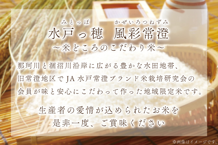 3ヶ月定期便】【令和6年産】特別栽培米コシヒカリ「風彩常澄」計15kg（5kg×3回）【最高 ランク 特A コシヒカリ 水戸市 オリジナル ブランド  農林水産省大臣賞受賞 減農薬 減化学肥料 栽培 ふっくら 美味しい お米 ご飯】 （FC-103） - 茨城県水戸市｜ふるさとチョイス ...