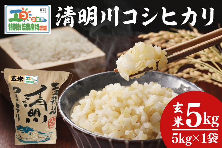 04-19 茨城県特別栽培認証 清明川コシヒカリ玄米 5㎏【令和6年産新米】【米 おこめ こしひかり 特別栽培米 農家直送 直送 茨城県 阿見町】 -  茨城県阿見町｜ふるさとチョイス - ふるさと納税サイト